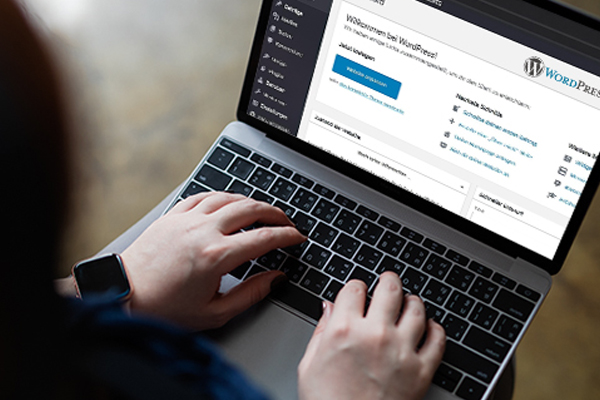 WordPress Development